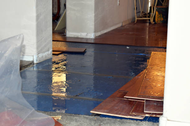 Professional Sewage Cleanup technician working in Wentworth, NH